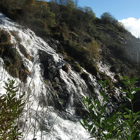 A Casa Do Carpinteiro