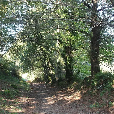 A Casa Do Carpinteiro Σπίτι διακοπών San Martino (Toques)